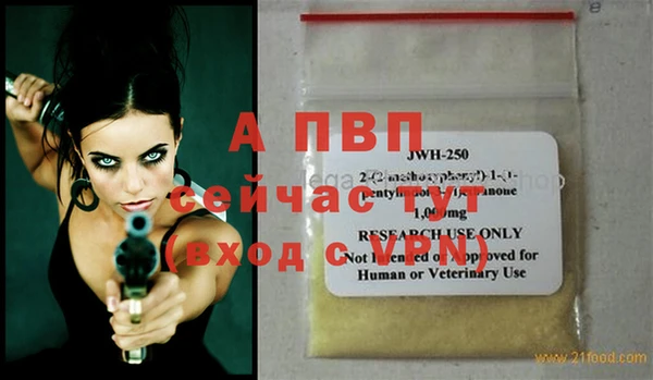 стафф Заводоуковск
