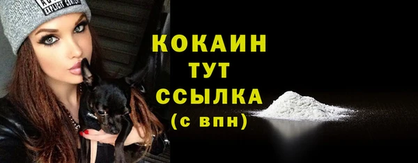 стафф Заволжск