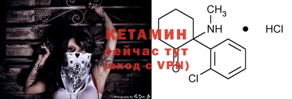 стафф Заводоуковск