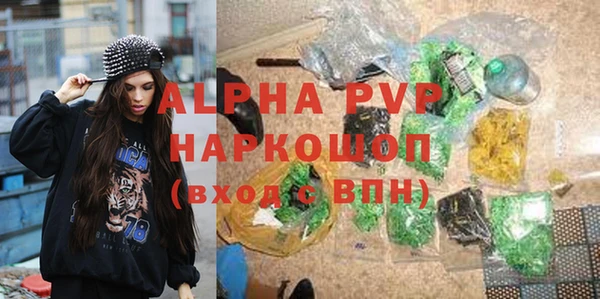 стафф Заволжск